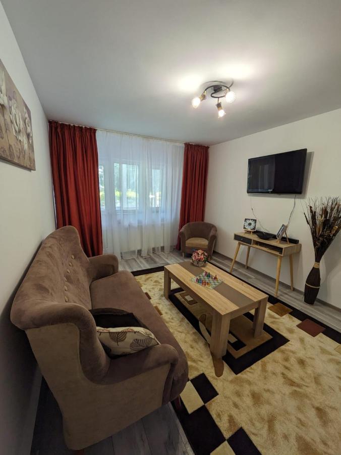Apartamentul Alfa Slănic-Moldova Zewnętrze zdjęcie