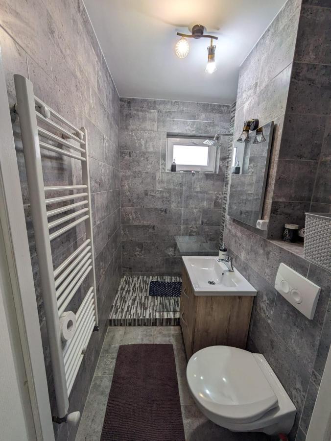 Apartamentul Alfa Slănic-Moldova Zewnętrze zdjęcie