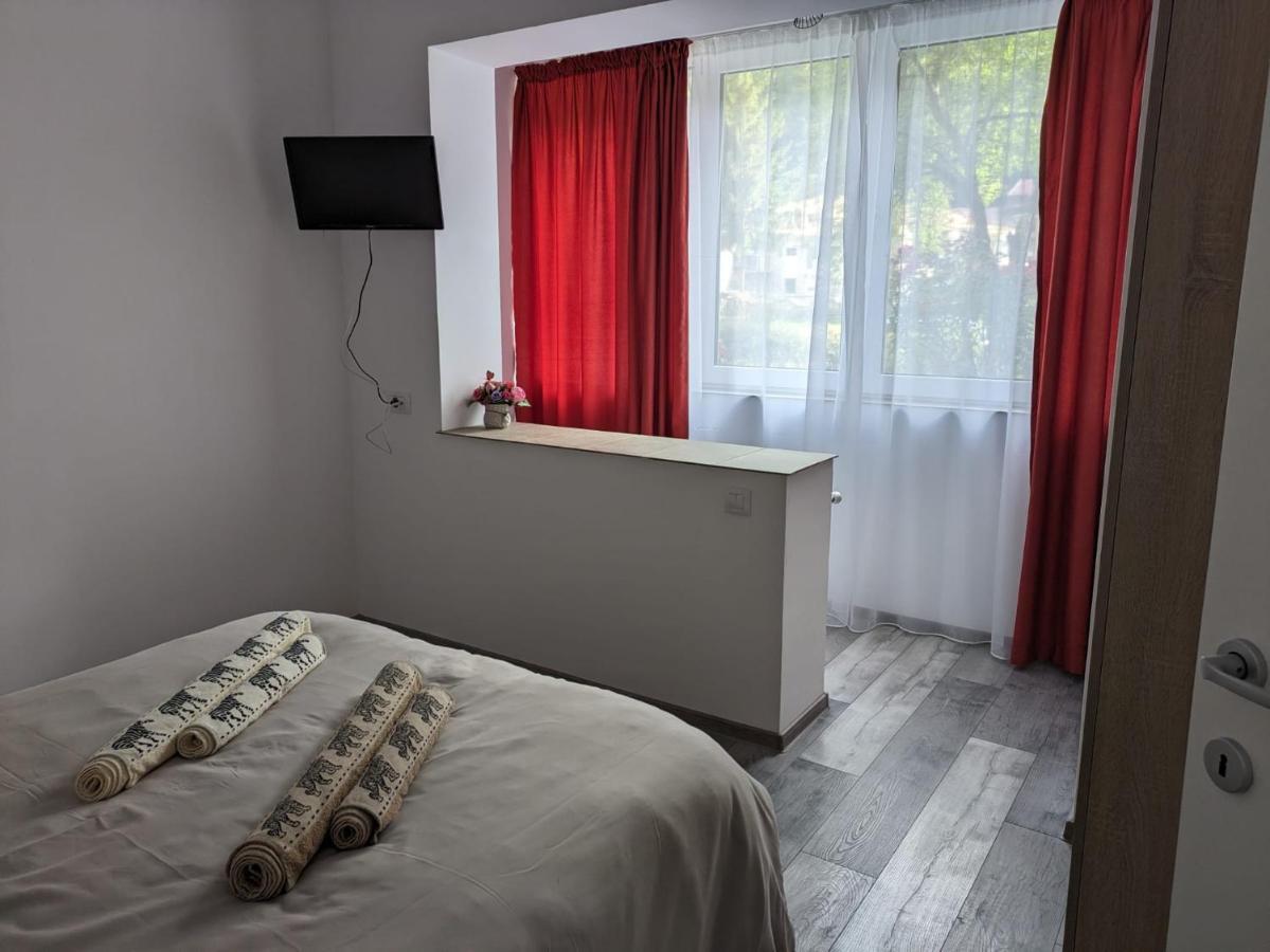 Apartamentul Alfa Slănic-Moldova Zewnętrze zdjęcie