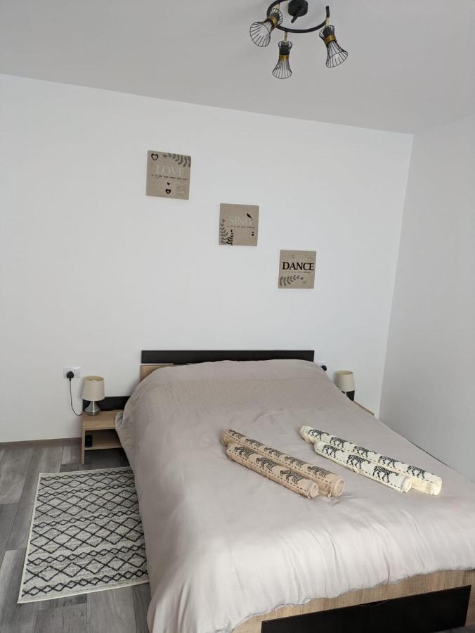 Apartamentul Alfa Slănic-Moldova Zewnętrze zdjęcie